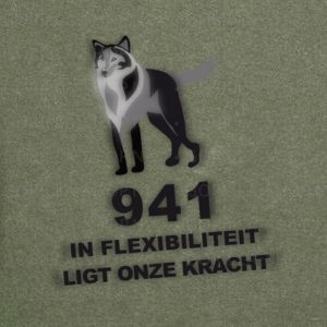 logo 941 squadron