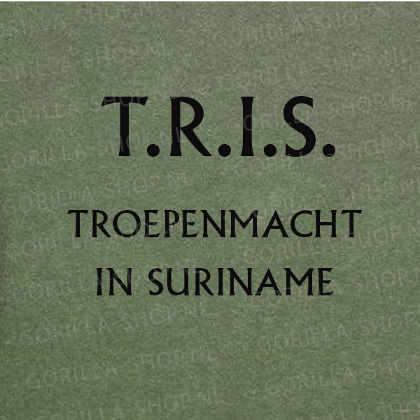 Oranje-Gelderland-T-shirt-premium-sfeer2 Regiment Oranje Gelderland t-shirt - Afbeelding 4