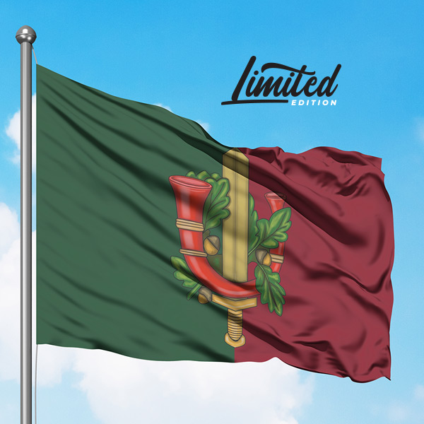 Vlag-BLJ-1 Vlag 42 painfbat