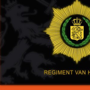 mooie regimentsvlag