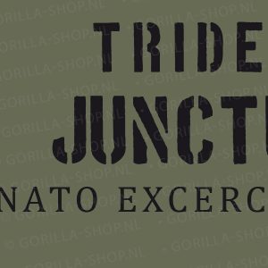 Noorwegen trident Juncture